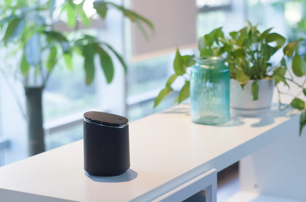 The Queen for Laurier Optical Partners – Mesh Wi-Fi for up to 3,000 sq. ft.